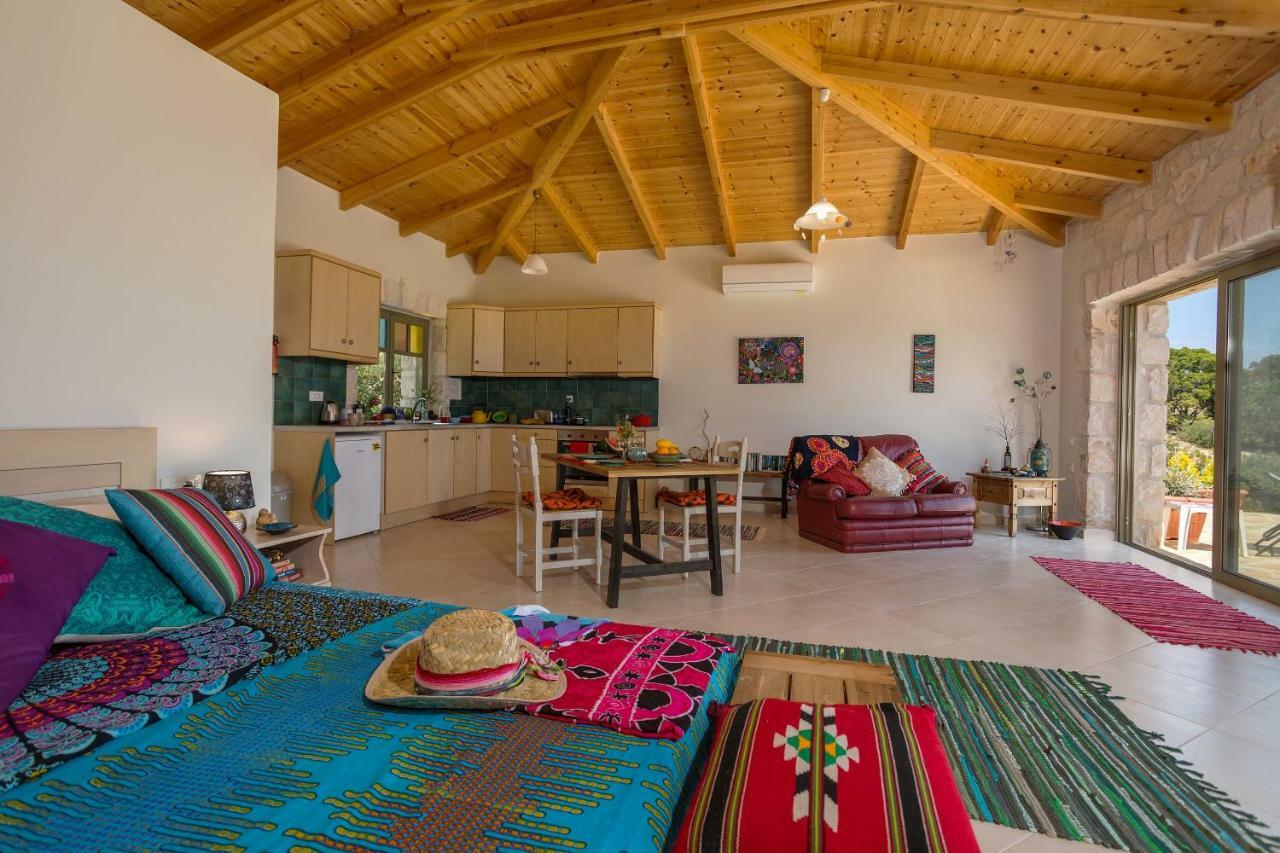 David'S Villas - Private Pool & Scenic Surroundings Vasilikí 외부 사진