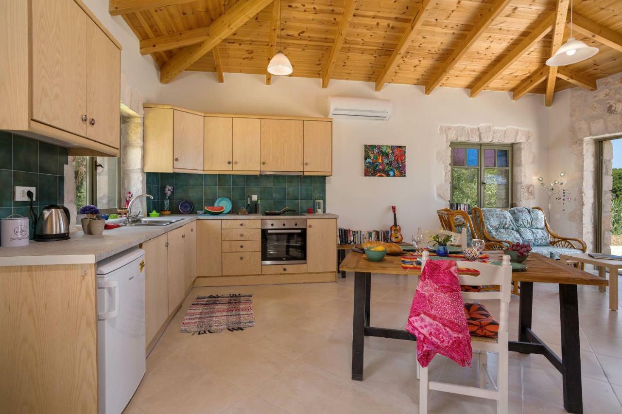 David'S Villas - Private Pool & Scenic Surroundings Vasilikí 외부 사진